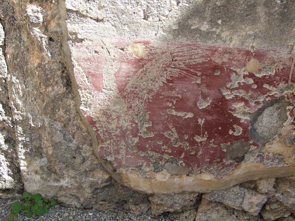 VI.14.20 Pompeii. March 2009. Room 10, remains of painted bird decoration and plants, on north end of east wall of triclinium.