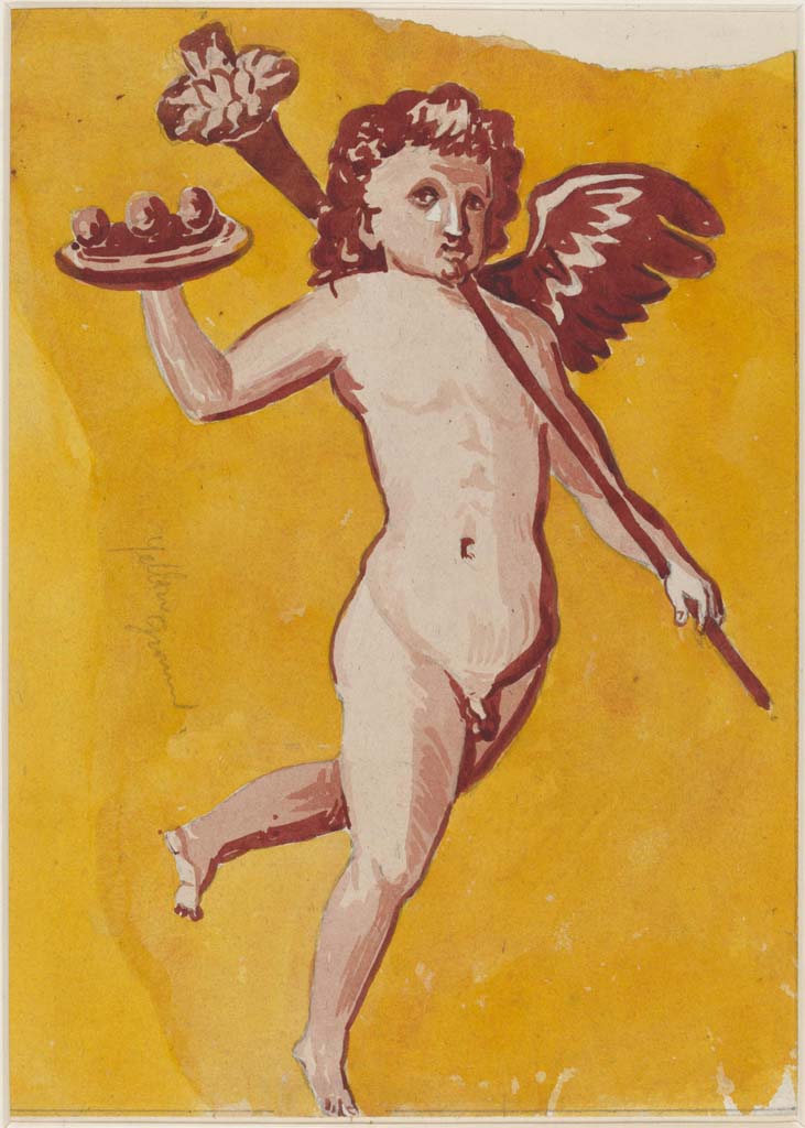 VI.14.20 Pompeii. Undated painting of cupid by Sydney Vacher. 
(Note: this may or may not have come from the same room 13, as the above one, where the walls are very faded)
Photo © Victoria and Albert Museum, inventory number E.4415-1910. 


Photo © Victoria and Albert Museum, inventory number E.4415-1910. 
