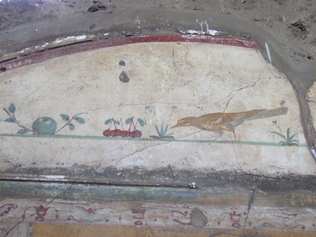 VI.14.20  Pompeii.  March 2009.  Room 13.  Decorated border on top of painted plaster.