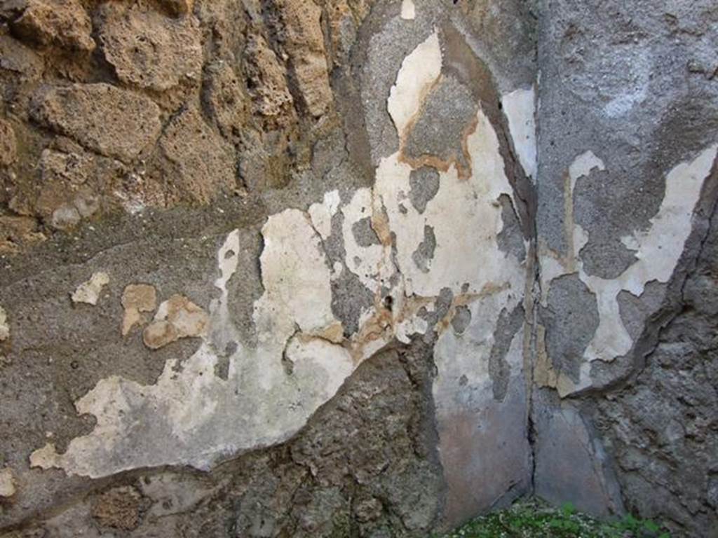 VI.14.20  Pompeii.  March 2009.  Room 14.  West wall.  Remains of painted plaster above steps.