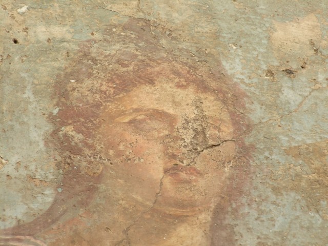 VI.14.20 Pompeii. March 2009. Room 18, detail of Orpheus from west wall of garden area.