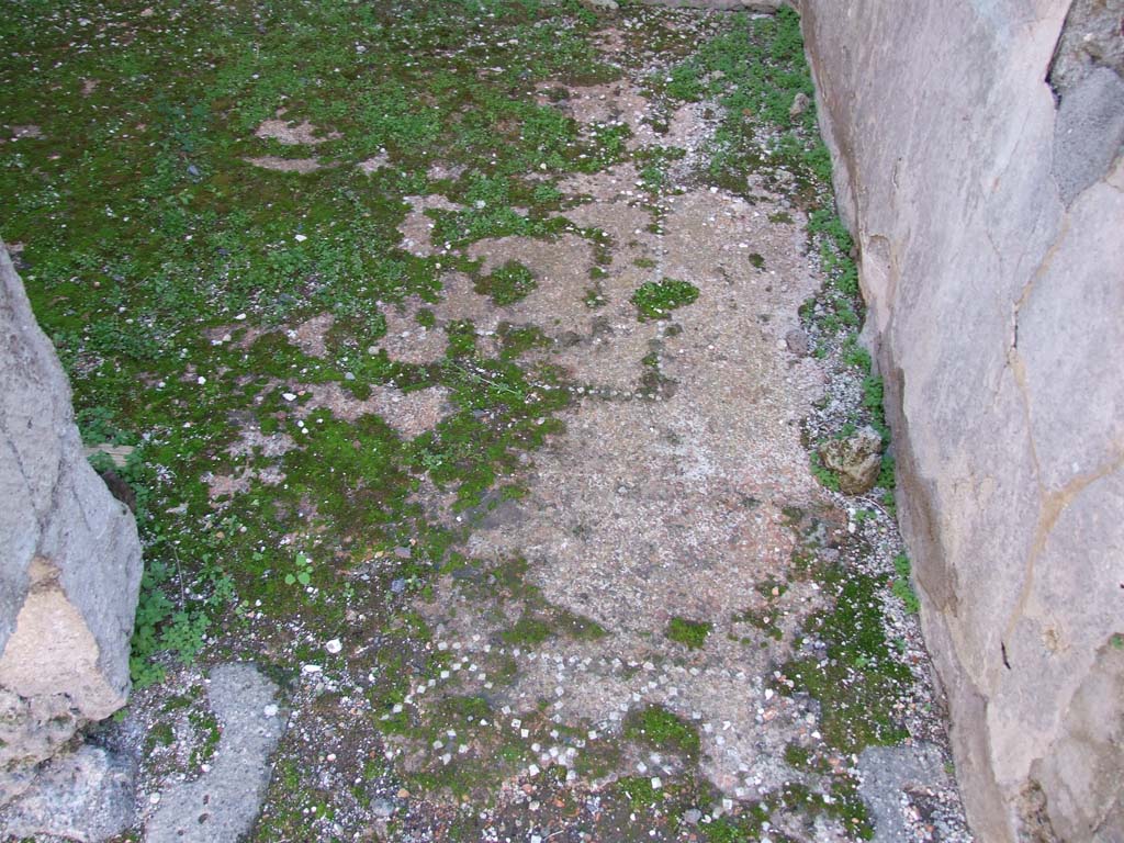 VI.14.22 Pompeii. December 2007. Room 2, decorated floor.