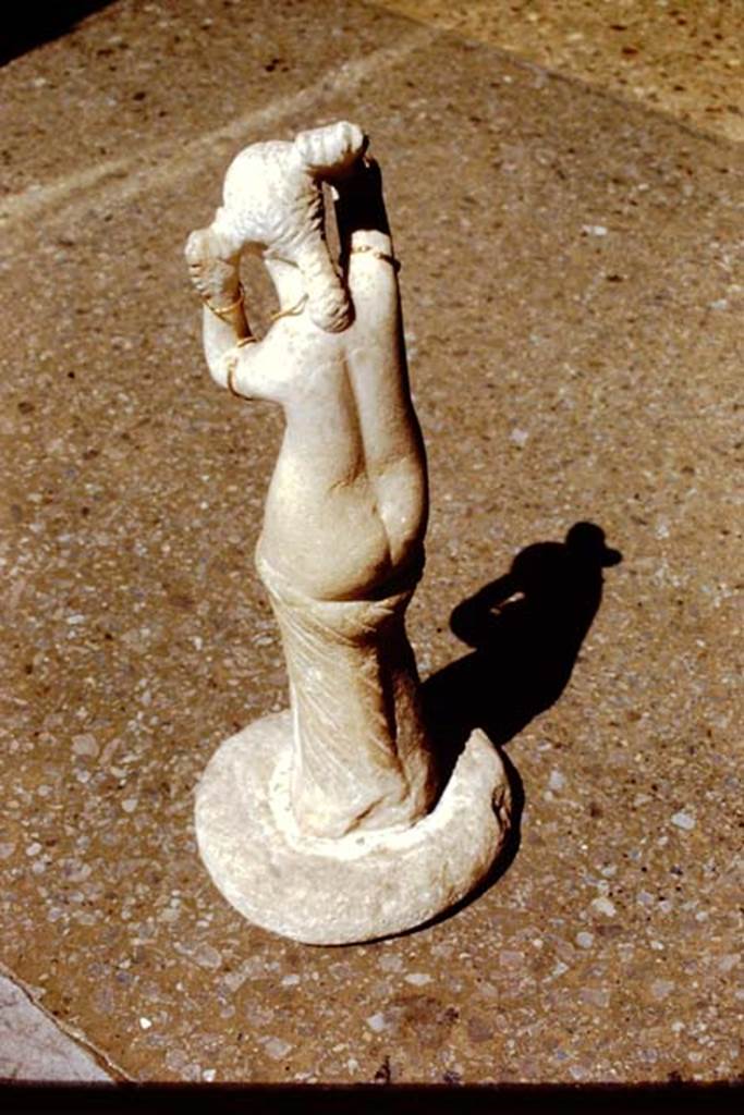VI.14.27 Pompeii. 1971. Found in room “b”. Rear of marble statuette of Venus, found in the atrium on 16th April 1875.
Now in Naples Archaeological Museum. Inventory number 110602.
Photo by Stanley A. Jashemski.
Source: The Wilhelmina and Stanley A. Jashemski archive in the University of Maryland Library, Special Collections (See collection page) and made available under the Creative Commons Attribution-Non Commercial License v.4. See Licence and use details.
J71f0273