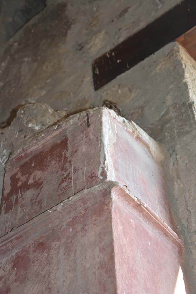 VI.14.38 Pompeii. September 2019. Detail from east wall of cubiculum.
Foto Annette Haug, ERC Grant 681269 DÉCOR.