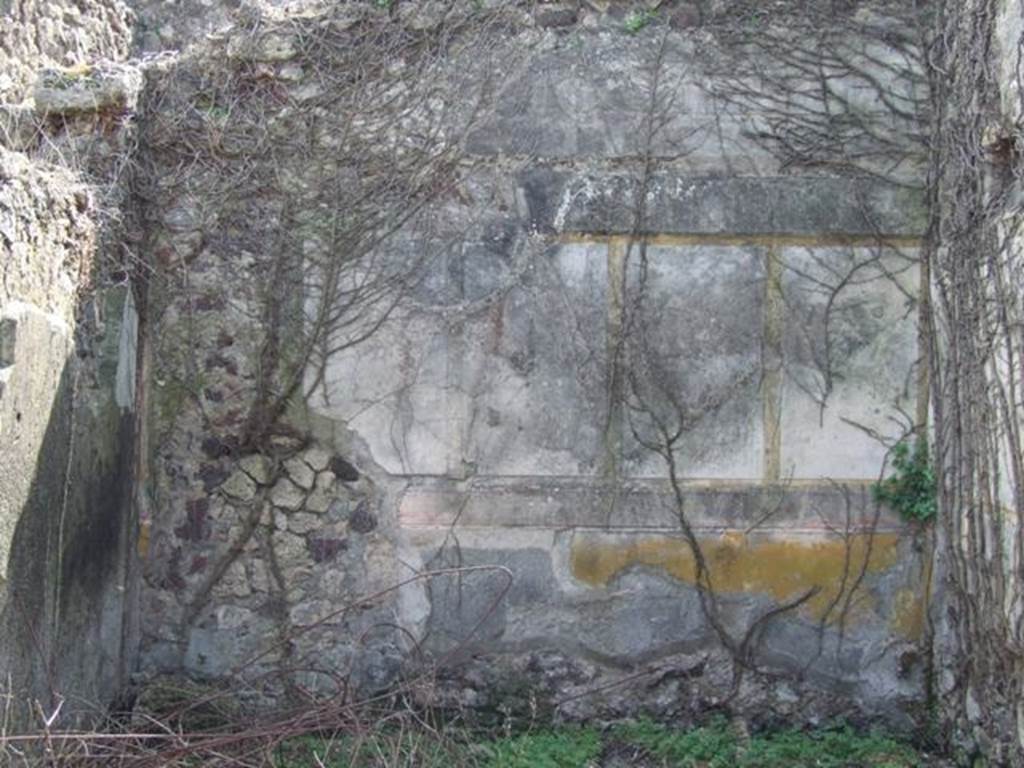 VI.15.5 Pompeii.  March 2009. Room 25.  Ala.  South wall.