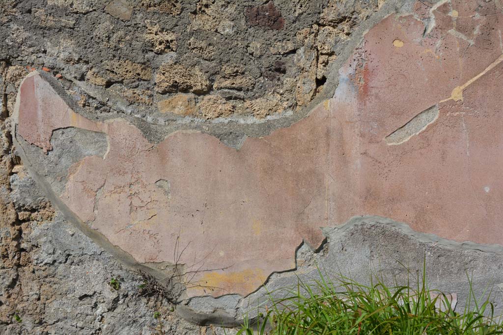 VI 15 5 Pompeii. March 2019. North ala 6, detail of painted decoration on north wall.
Foto Annette Haug, ERC Grant 681269 DÉCOR.
