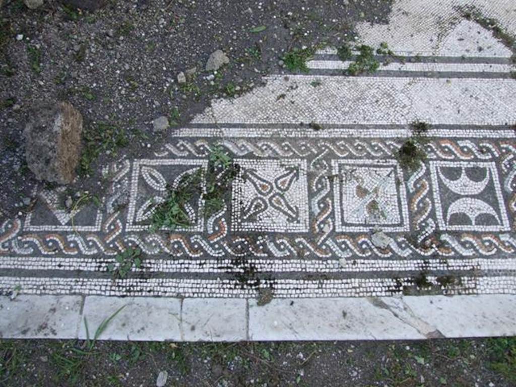 VI.15.5 Pompeii. March 2009. Room 7, coloured mosaic floor in tablinum, detail starting from the south (left) side.