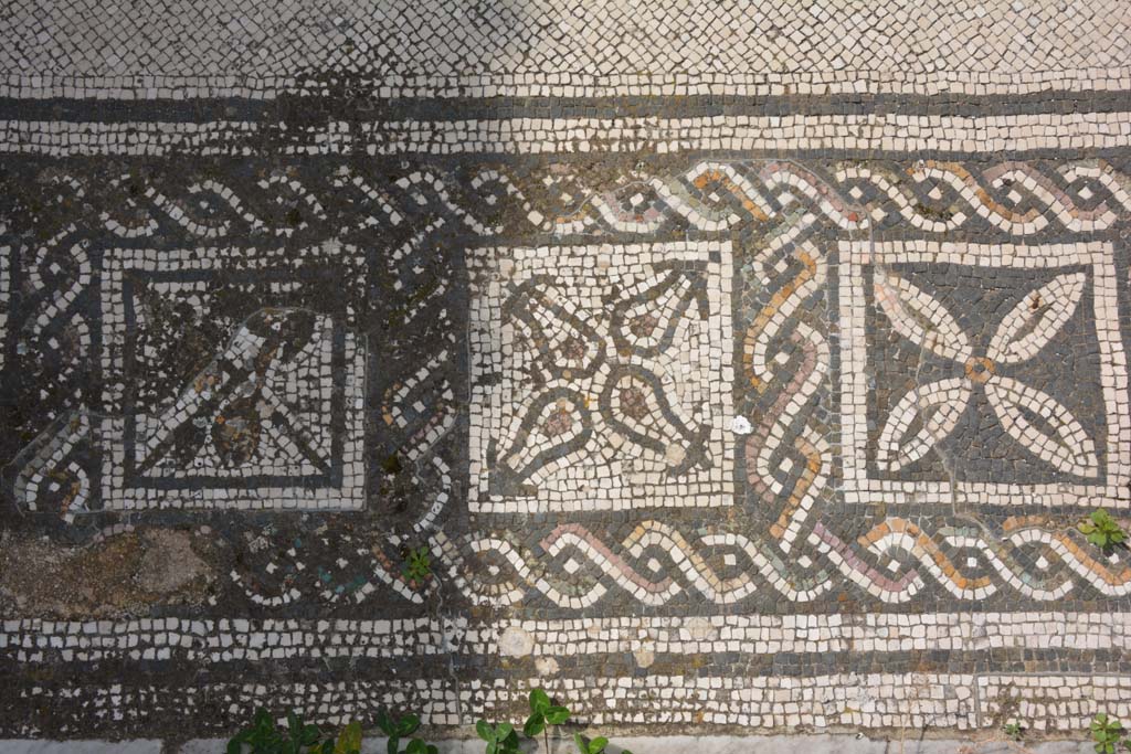 VI 15 5 Pompeii. March 2019. Tablinum 7, coloured mosaic threshold, detail starting from the south (left) side. 
Foto Annette Haug, ERC Grant 681269 DÉCOR.
