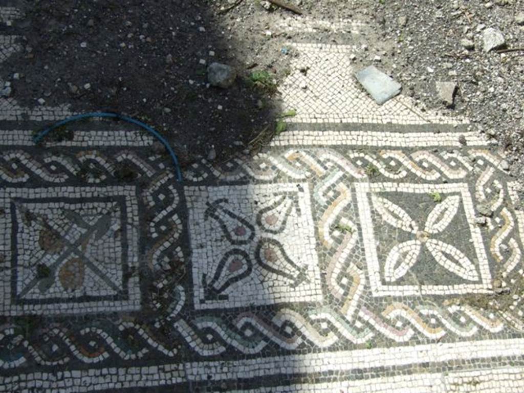 VI.15.5 Pompeii. March 2009. Room 7, coloured mosaic floor, detail starting from the south (left) side.