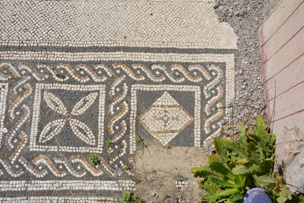 VI 15 5 Pompeii. March 2019. 
Tablinum 7, coloured mosaic threshold, detail starting from the south (left) side and finishing here on the north (right).
Foto Annette Haug, ERC Grant 681269 DÉCOR.
