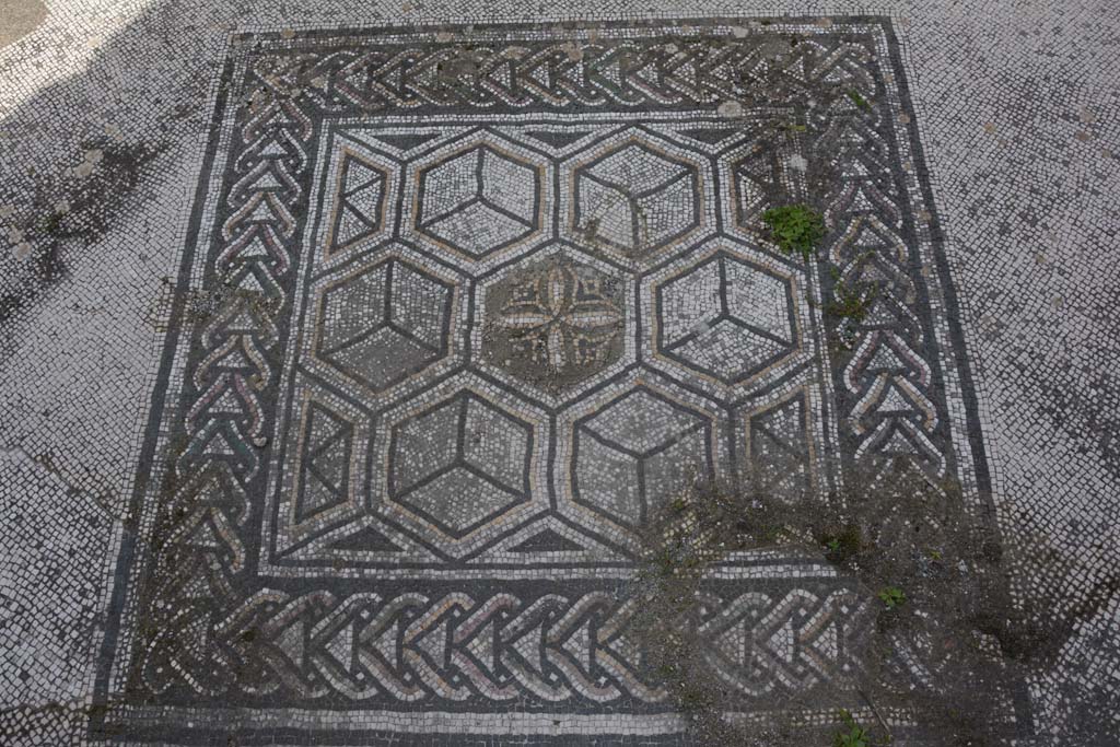 VI 15 5 Pompeii. March 2019. Tablinum 7, emblema in centre of floor.
Foto Annette Haug, ERC Grant 681269 DÉCOR.
