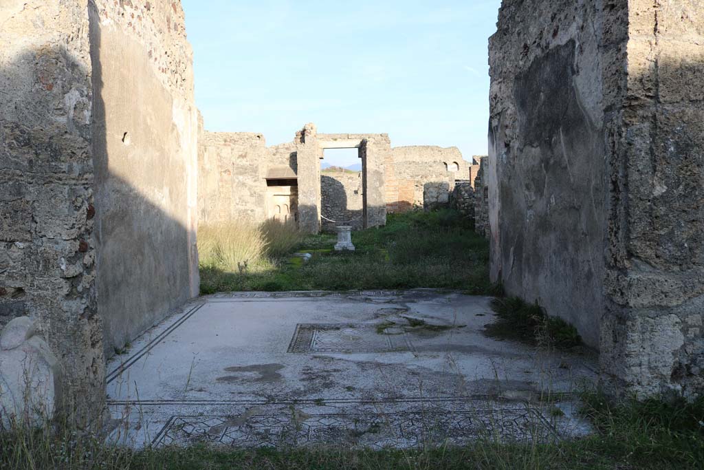 VI.15.5 Pompeii. December 2018. 
Looking east across mosaic flooring in tablinum, towards atrium and entrance doorway. Photo courtesy of Aude Durand.
