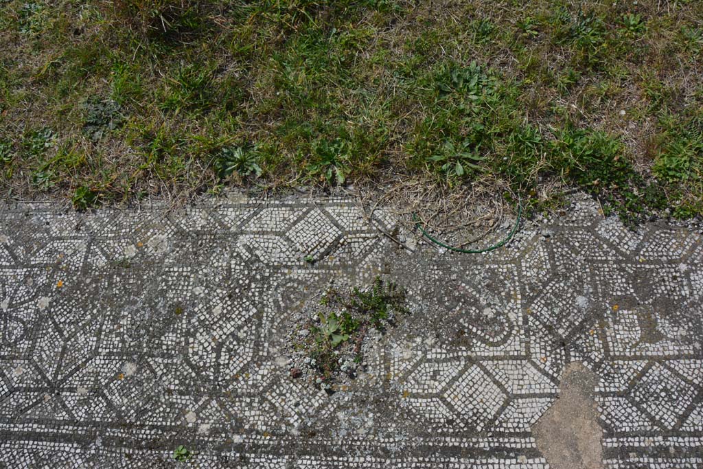 VI 15 5 Pompeii. March 2019. Tablinum 7, mosaic in centre of west side of threshold end of tablinum.
Foto Annette Haug, ERC Grant 681269 DÉCOR.
