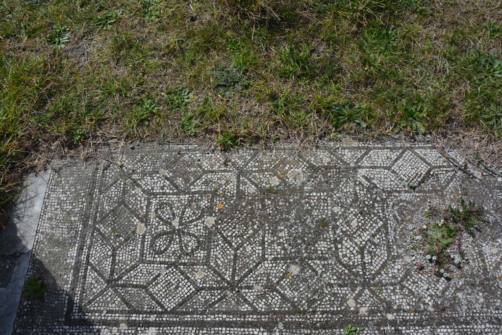 VI 15 5 Pompeii. March 2019. Tablinum 7, mosaic at south end of west side of tablinum.
Foto Annette Haug, ERC Grant 681269 DÉCOR.


