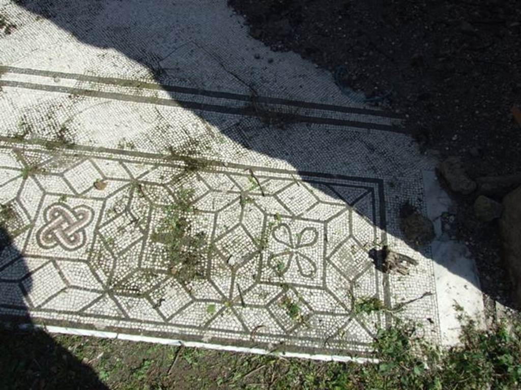 VI.15.5 Pompeii. March 2009. Room 7, detail of mosaic at south end of west side of tablinum.  