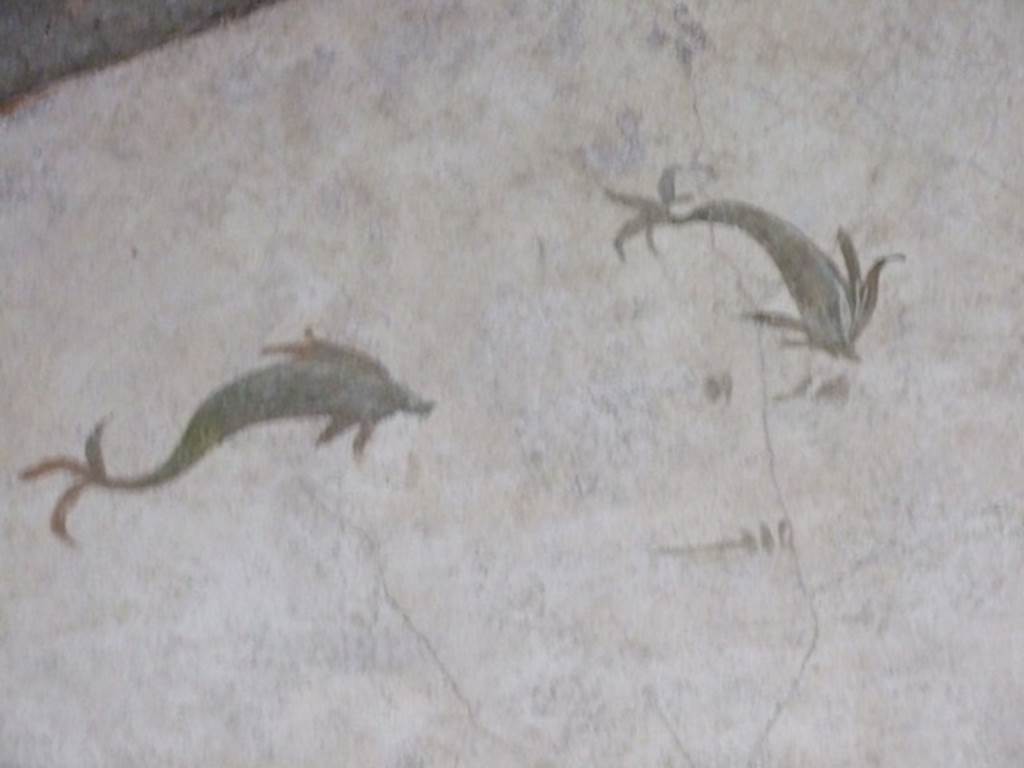 VI.15.8 Pompeii. December 2007. Detail of dolphins in tablinum.
