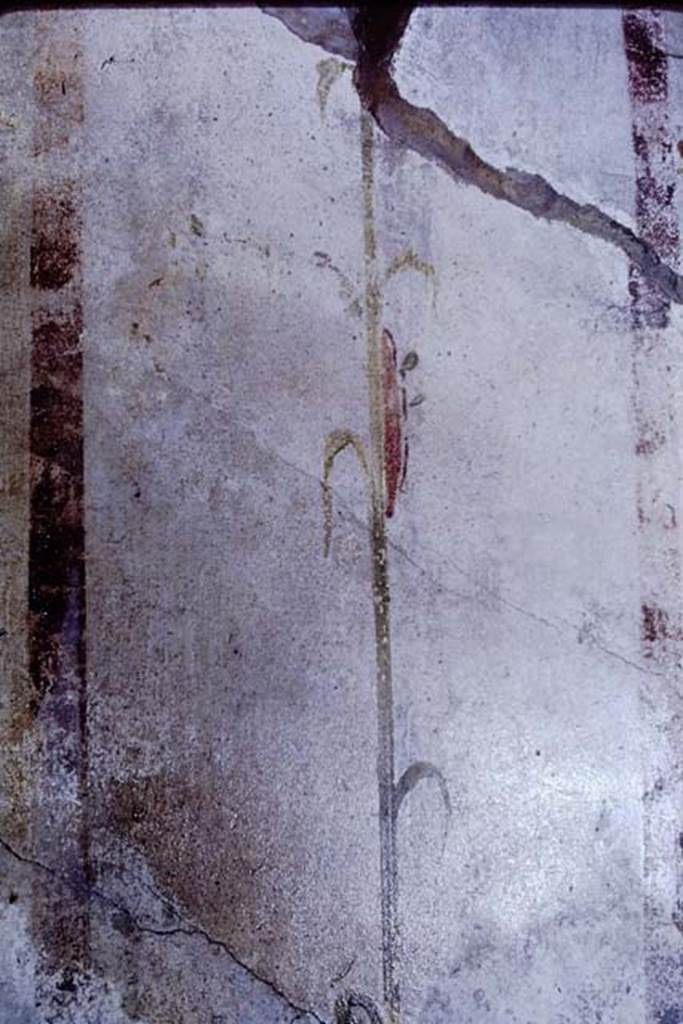 VI.15.8 Pompeii. 1968. Detail of panel on north wall of a decorative pilaster of painted candelabra of reed. Photo by Stanley A. Jashemski.
Source: The Wilhelmina and Stanley A. Jashemski archive in the University of Maryland Library, Special Collections (See collection page) and made available under the Creative Commons Attribution-Non Commercial License v.4. See Licence and use details. J68f1010
