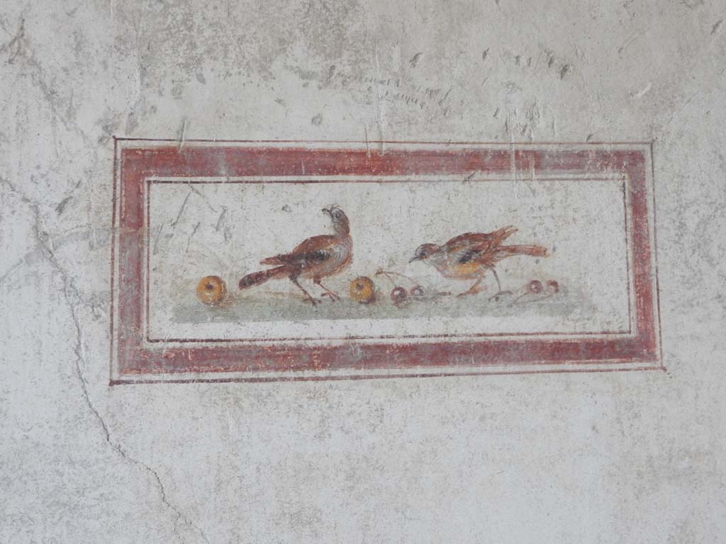 VI.15.8 Pompeii. June 2019. North wall of the portico. Panel showing birds with fruit. Photo courtesy of Buzz Ferebee.