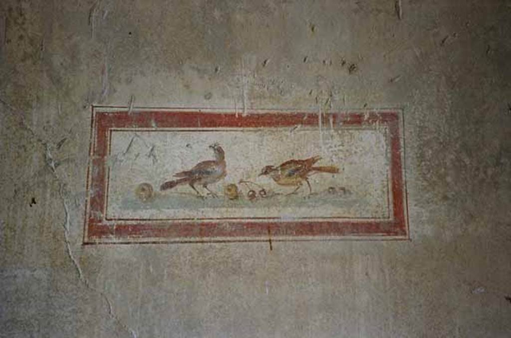 VI.15.8 Pompeii. May 2010. North wall of the portico. Panel showing birds with fruit. Photo courtesy of Rick Bauer.