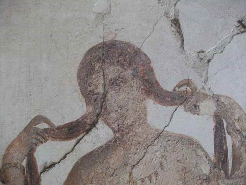 VI.15.8 Pompeii. May 2010. Detail of Venus.