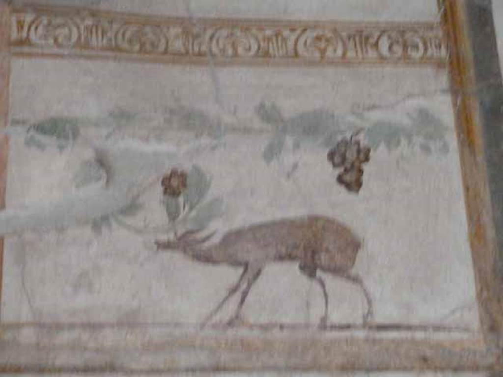 VI.15.8 Pompeii. May 2010. Painted detail from oecus.