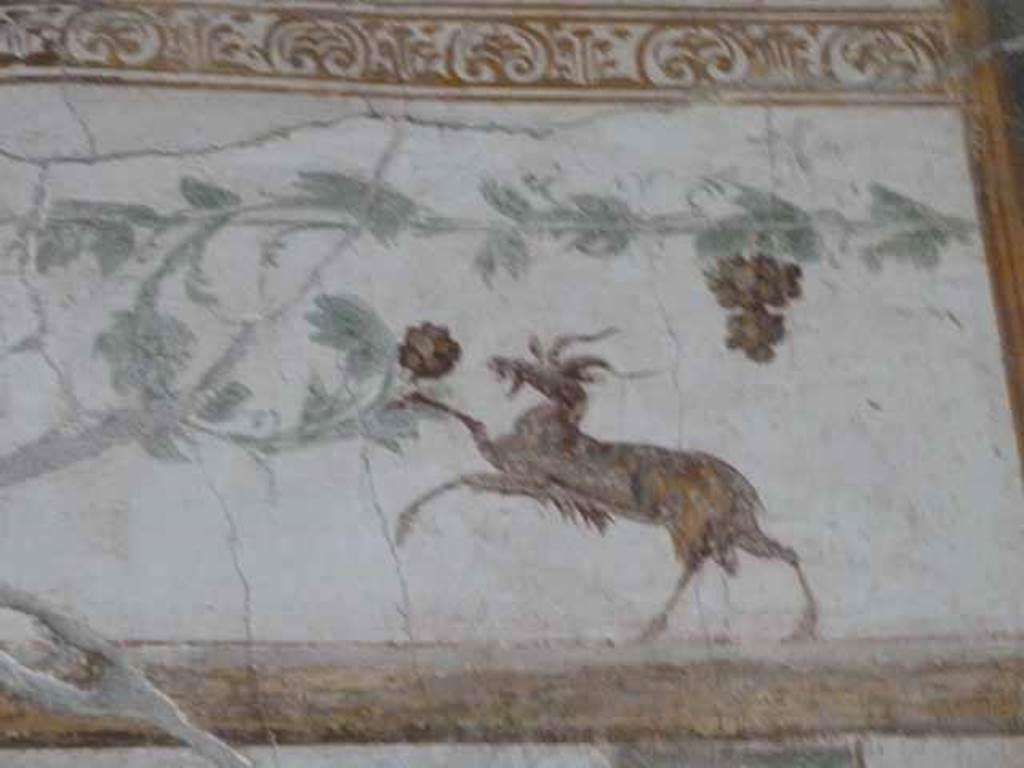 VI.15.8 Pompeii. May 2010. Painted detail from oecus.