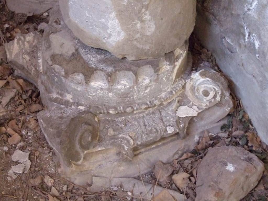 VI.15.9 Pompeii.  March 2009.  Triclinium.  Capital.