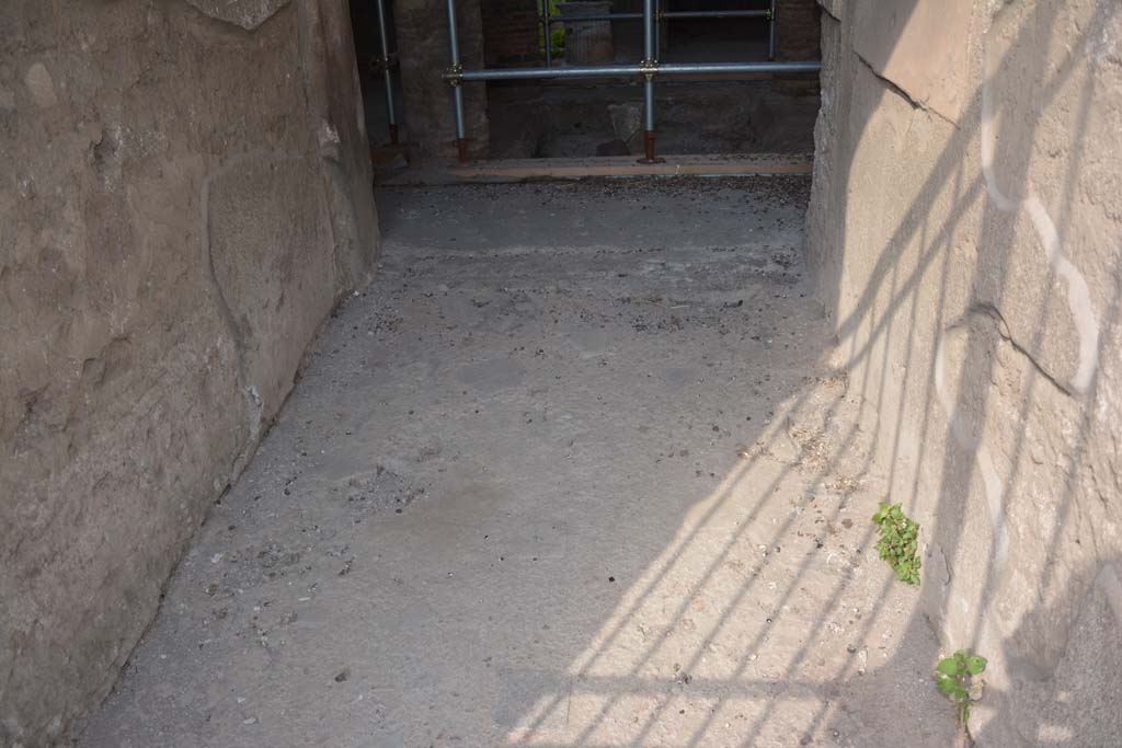 VI.15.9 Pompeii. July 2017. Looking west along flooring in entrance corridor.
Foto Annette Haug, ERC Grant 681269 DÉCOR
