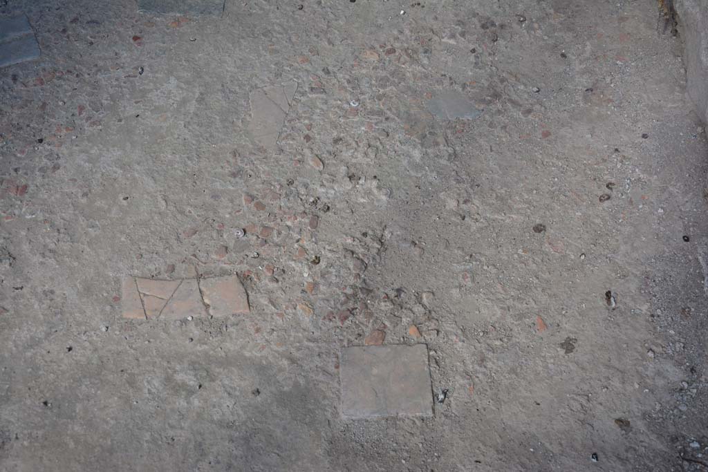 VI.15.9 Pompeii. July 2017. Detail of flooring in entrance corridor.
Foto Annette Haug, ERC Grant 681269 DÉCOR.