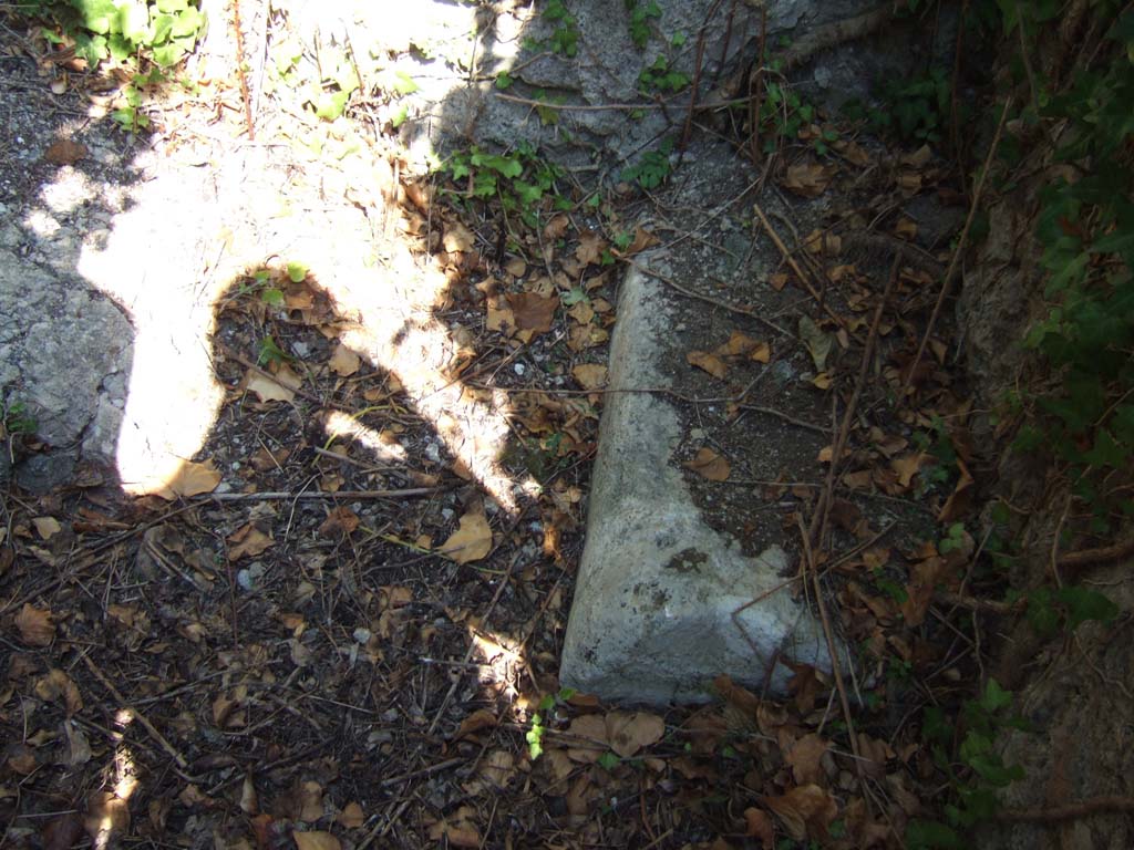 VI.15.23 Pompeii. September 2005. Small room at rear of the oecus with stone feature against south wall, looking east.