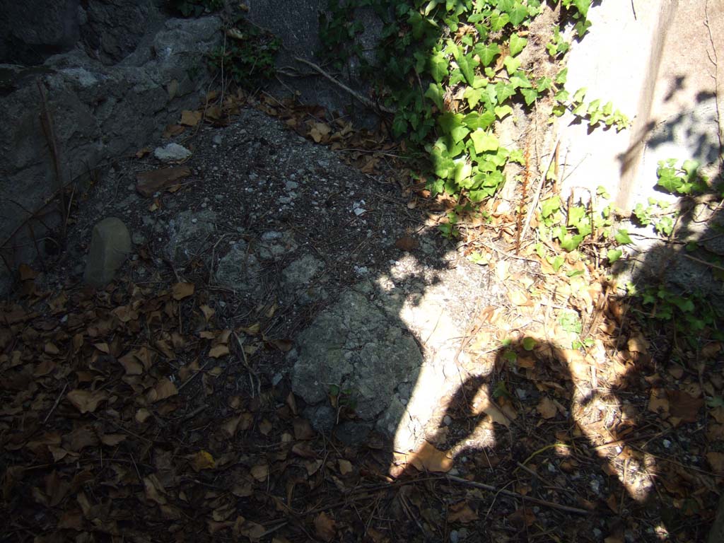 VI.15.23 Pompeii. September 2005. Small room at rear of the oecus with stone feature against east wall, looking south.