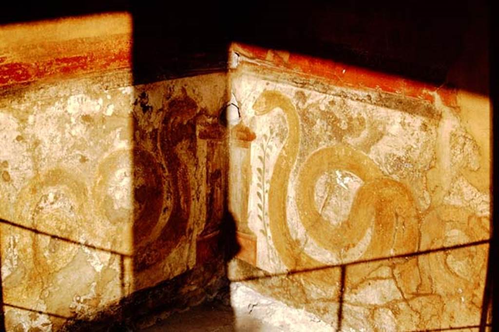 VI.16.7 Pompeii. May 2006. Room F, east wall of peristyle. Lararium with painted serpents on either side of a painted altar.
