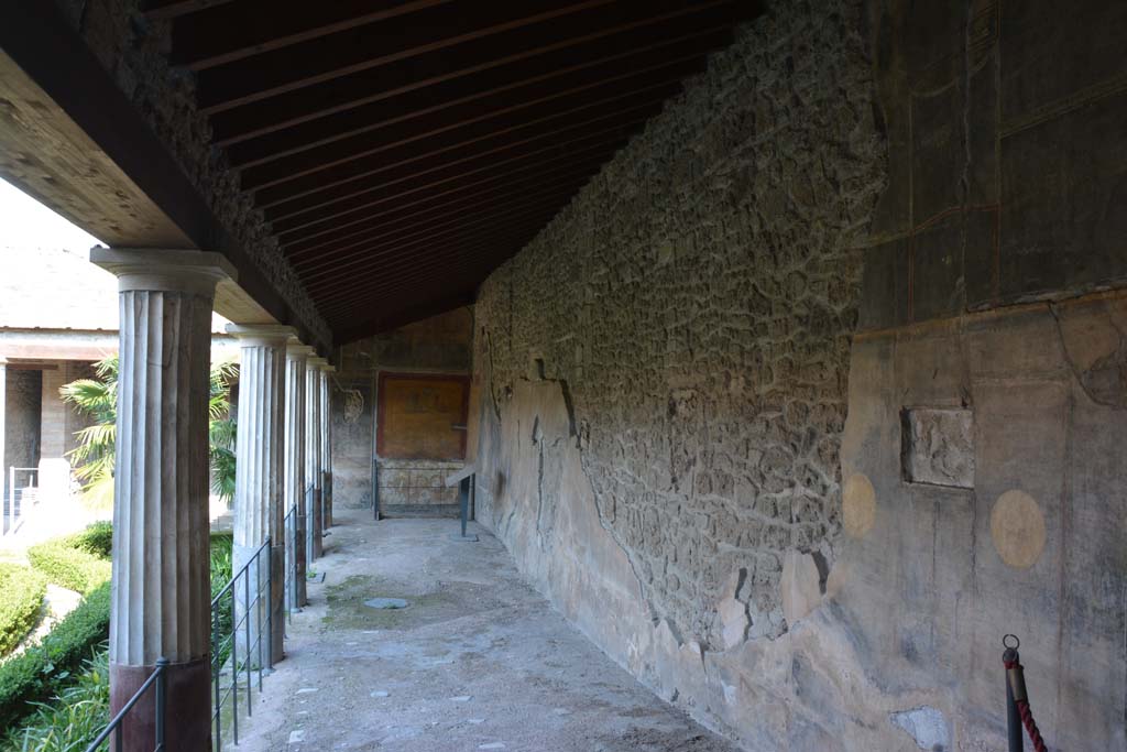 VI.16.7 Pompeii. March 2019. Decoration on south wall of portico. 
Foto Annette Haug, ERC Grant 681269 DÉCOR.

