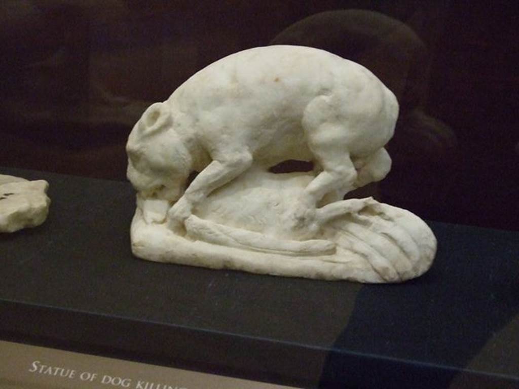 VI.16.7 Pompeii.  Room F. Peristyle garden. South side.  Marble statuette of a dog or cat killing a bird.  SAP 20372.  Photographed at “A Day in Pompeii” exhibition at Melbourne Museum.  September 2009.