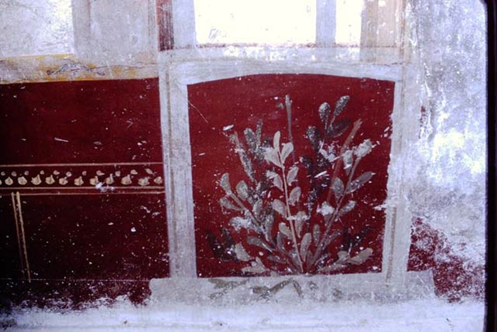 VI.16.7 Pompeii, 1968. Room Q, painted plant at east end of north wall. Photo by Stanley A. Jashemski.
Source: The Wilhelmina and Stanley A. Jashemski archive in the University of Maryland Library, Special Collections (See collection page) and made available under the Creative Commons Attribution-Non Commercial License v.4. See Licence and use details.
J68f0249
