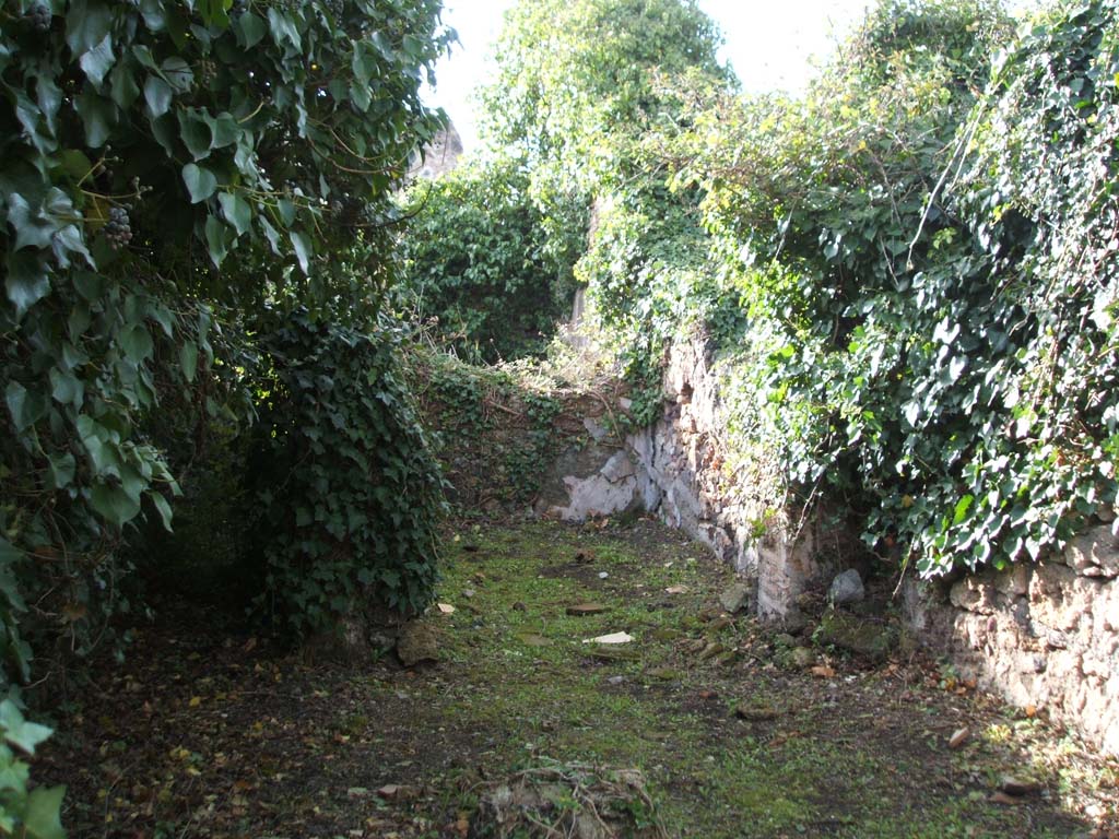 VI.16.12 Pompeii. December 2004. Looking west from counter to rear room and corridor to rear.