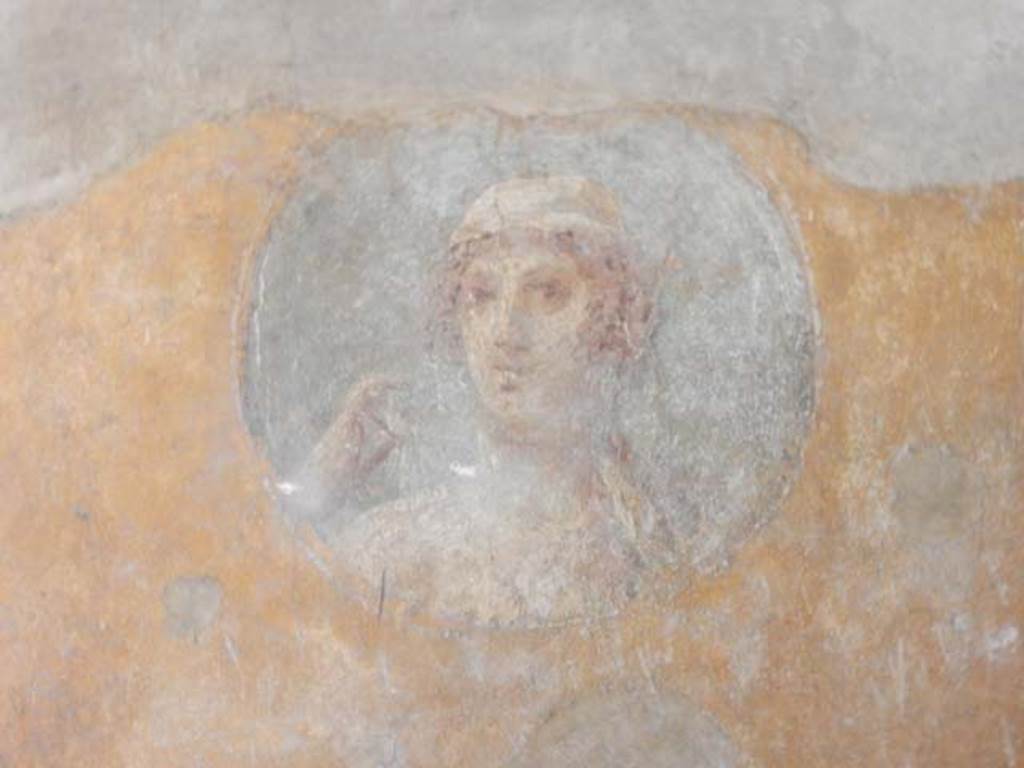 VI.16.15 Pompeii. May 2015. Room G, medallion from south end of east wall. Photo courtesy of Buzz Ferebee.
