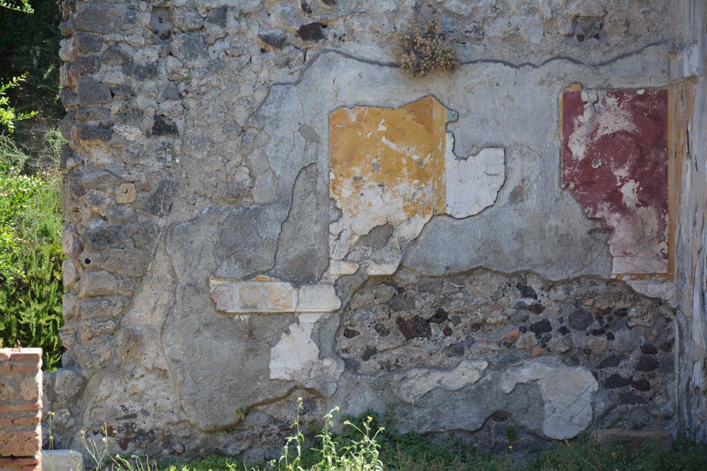 VI.16.27 Pompeii. July 2017. Room J, detail from east wall.
Foto Annette Haug, ERC Grant 681269 DÉCOR.