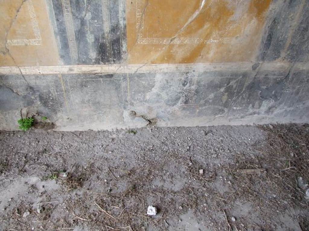 VI.16.27 Pompeii. March 2009. Room G, lower west wall of triclinium. According to NdS, the dado had a black background and on it were painted plants, animals, winged creatures, etc.