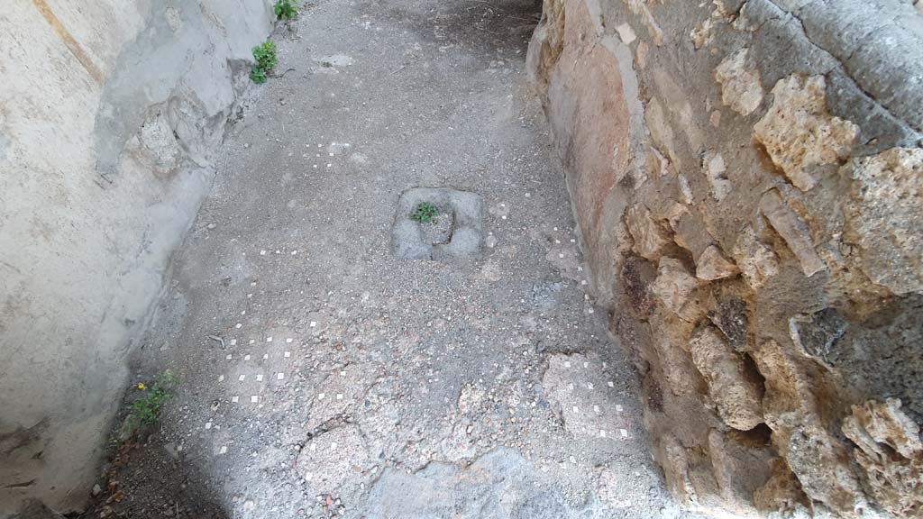VI.16.33 Pompeii. July 2021. Looking east across flooring in bar-room on north side of counter.
Foto Annette Haug, ERC Grant 681269 DCOR.
