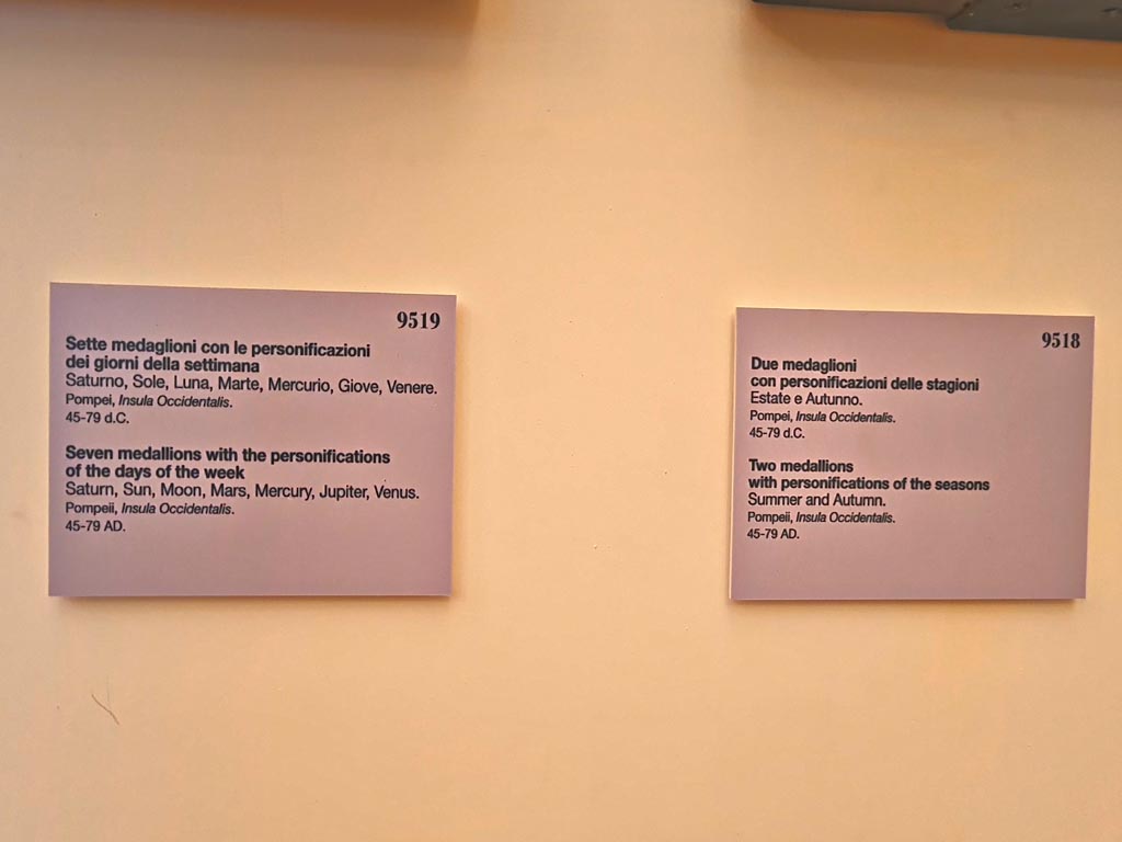 Pompeii Insula Occidentalis. October 2023. Description card for inv. 9519 and 9518. Photo courtesy of Giuseppe Ciaramella. 