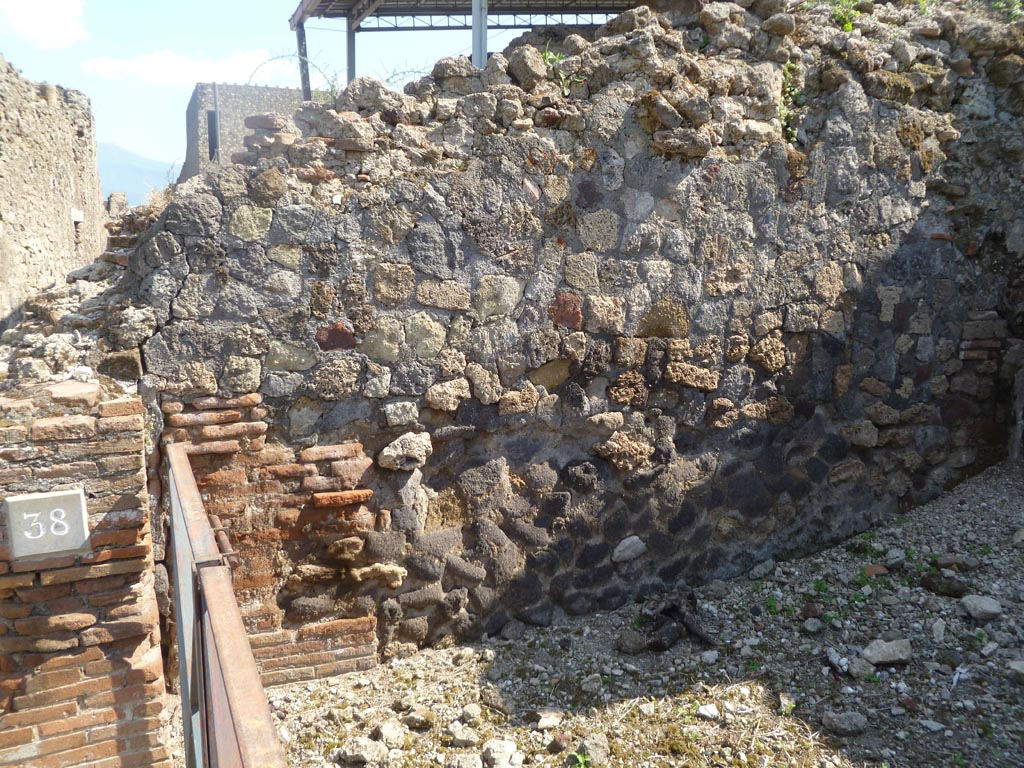 VI.17.38 Pompeii. May 2011. South wall. Photo courtesy of Michael Binns.