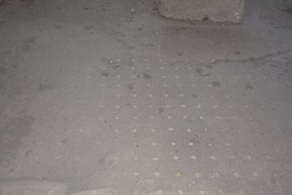 VI.17.41 Pompeii. September 2019. Detail of flooring in atrium at east end.
Foto Annette Haug, ERC Grant 681269 DCOR.
