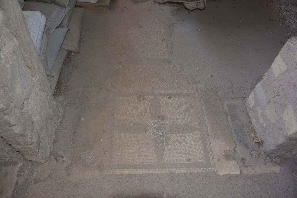 VI.17.41 Pompeii. September 2019. Mosaic doorway threshold from atrium into triclinium.
Foto Annette Haug, ERC Grant 681269 DÉCOR.
