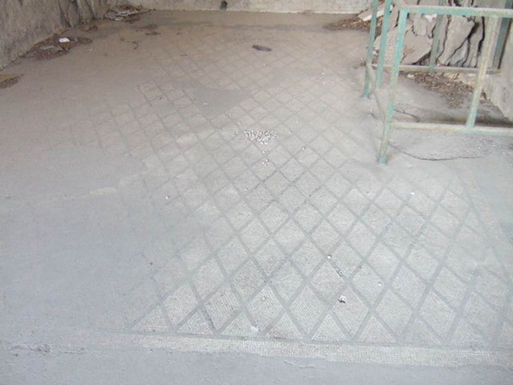 VI.17.41 Pompeii. May 2006. Mosaic floor in triclinium on south side of atrium. 
The mosaic floor of this triclinium was divided into two parts, the anteroom and the main room.
The mosaic in the main room was of a net design of diamond shapes (lozenges) outlined in black on a white background.
It was bordered by two wide bands of black and white mosaic, at the base of the walls the floor was of white mosaic. 
The lack of mosaic (at the lower edge of the photo) was probably due to the removal of the threshold between the anteroom and the main room by the Bourbon excavators.
The mosaic floor of the anteroom was of a carpet design edged with a straight black band, in the centre of the carpet on a white background, was a pattern of rows of crosses, formed by four small black tesserae.
See Fiorelli G., 1860. Pompeianarum antiquitatum historia, Vol. 1: 1748 - 1818, Naples, 1, pp.97-101.