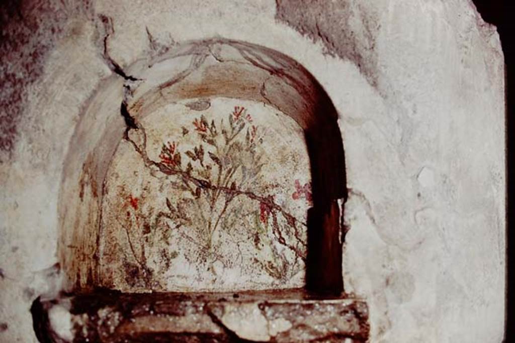 VI.17.41 Pompeii. 1978. Lararium niche decorated with flowered bushes from south wall of room on north-east corner of atrium. Photo by Stanley A. Jashemski.   
Source: The Wilhelmina and Stanley A. Jashemski archive in the University of Maryland Library, Special Collections (See collection page) and made available under the Creative Commons Attribution-Non Commercial License v.4. See Licence and use details. J78f0561
