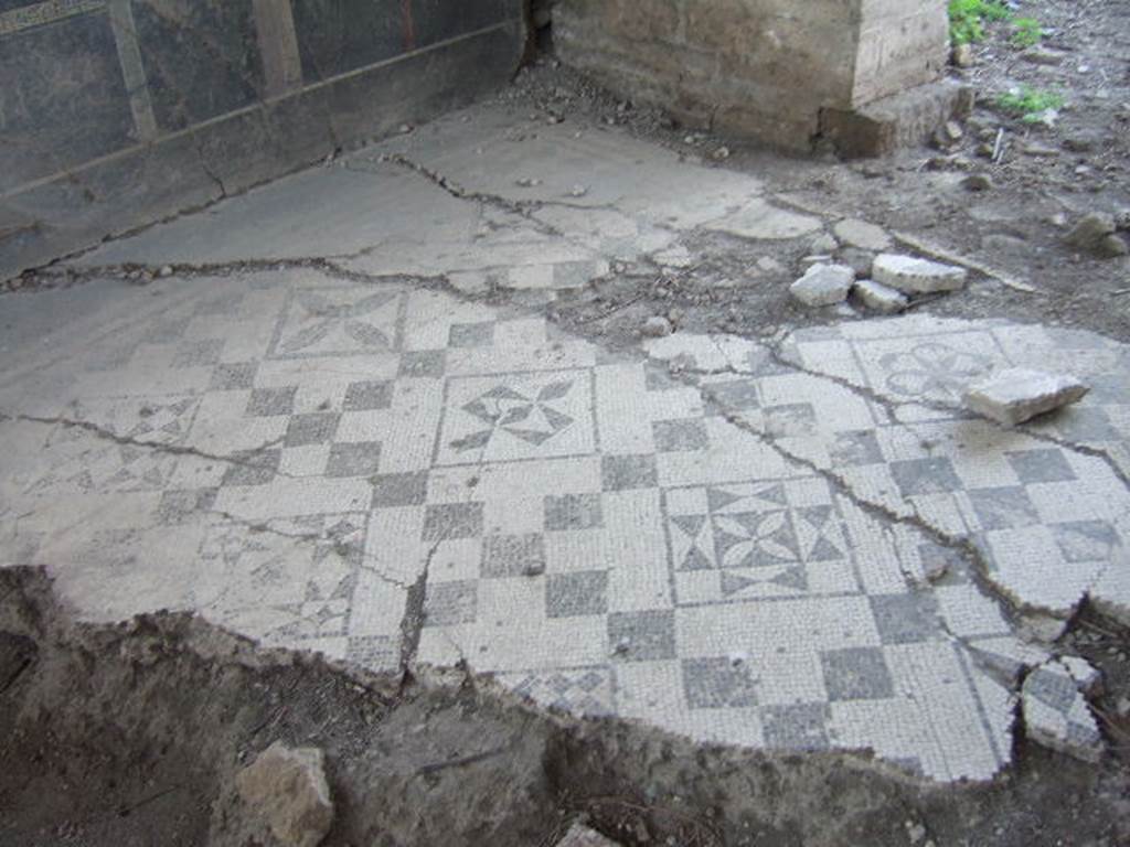 VI.17.41 Pompeii. May 2006. Mosaic floor of higher level room on north side from exedra, possibly cubiculi of VI.17.36.