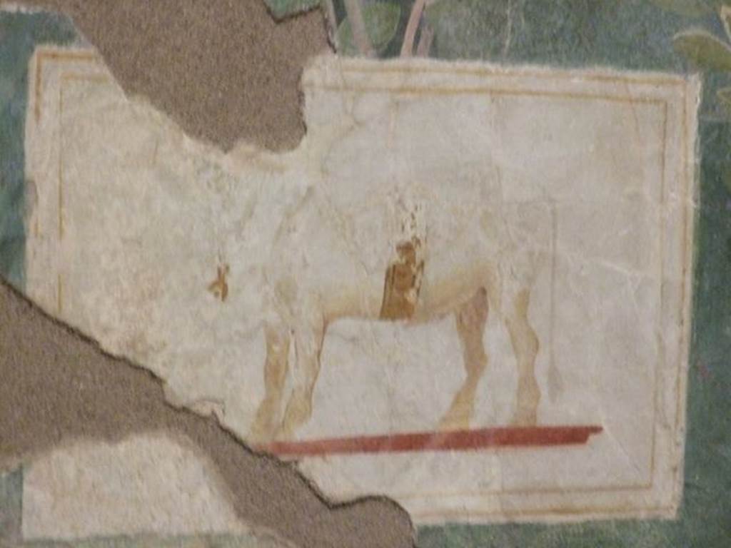 VI.17.42 Pompeii. Summer triclinium 31, south wall, west end, showing detail of painting of a bull. Inventory number 59467. Photographed at “A Day in Pompeii” exhibition at Melbourne Museum. September 2009.