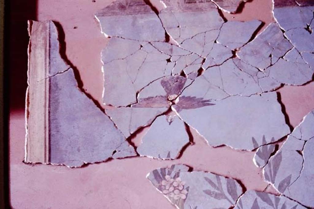 VI.17.42 Pompeii. 1984. Oecus 32, part of garden fresco from upper left part of east wall, during its reconstruction.
Source: The Wilhelmina and Stanley A. Jashemski archive in the University of Maryland Library, Special Collections (See collection page) and made available under the Creative Commons Attribution-Non Commercial License v.4. See Licence and use details.
J84f0095