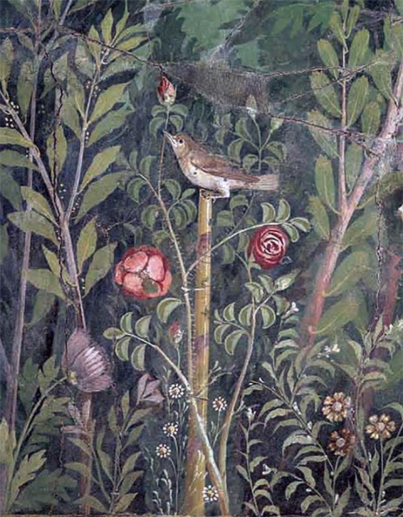 VI.17.42 Pompeii. Oecus 32. Detail of reed warbler from garden fresco from south wall.
Inventory number 40692.